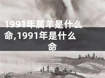 1991年属羊是什么命,1991年是什么命