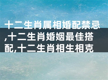 十二生肖属相婚配禁忌,十二生肖婚姻最佳搭配,十二生肖相生相克