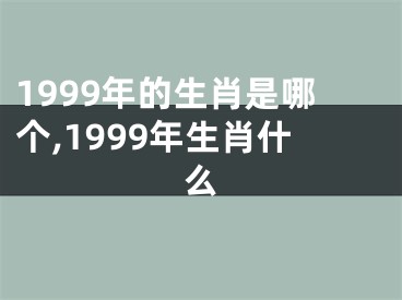 1999年的生肖是哪个,1999年生肖什么