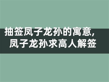 抽签凤子龙孙的寓意,凤子龙孙求高人解签