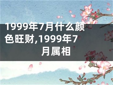 1999年7月什么颜色旺财,1999年7月属相