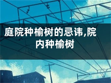 庭院种榆树的忌讳,院内种榆树