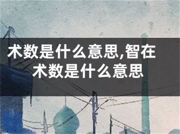 术数是什么意思,智在术数是什么意思