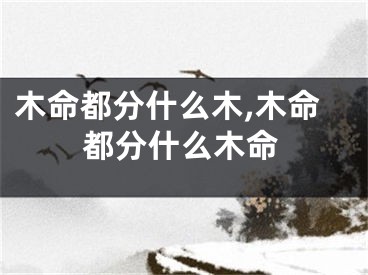 木命都分什么木,木命都分什么木命
