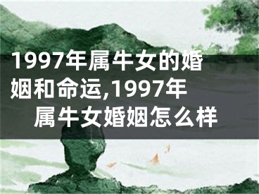 1997年属牛女的婚姻和命运,1997年属牛女婚姻怎么样