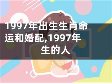 1997年出生生肖命运和婚配,1997年生的人
