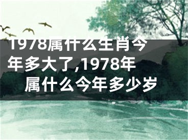 1978属什么生肖今年多大了,1978年属什么今年多少岁