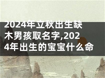 2024年立秋出生缺木男孩取名字,2024年出生的宝宝什么命