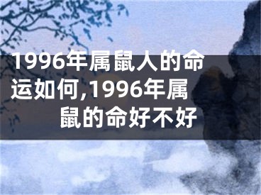 1996年属鼠人的命运如何,1996年属鼠的命好不好