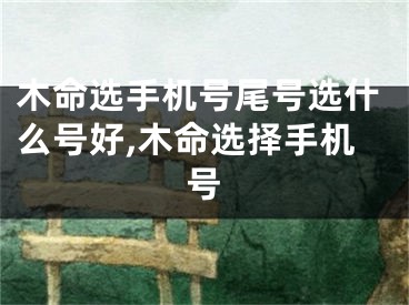 木命选手机号尾号选什么号好,木命选择手机号