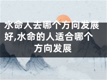 水命人去哪个方向发展好,水命的人适合哪个方向发展