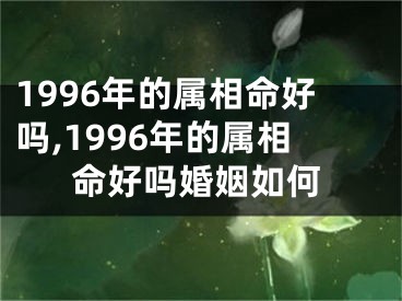 1996年的属相命好吗,1996年的属相命好吗婚姻如何