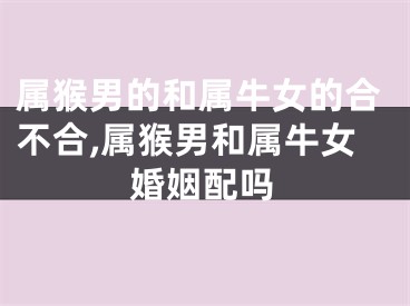 属猴男的和属牛女的合不合,属猴男和属牛女婚姻配吗
