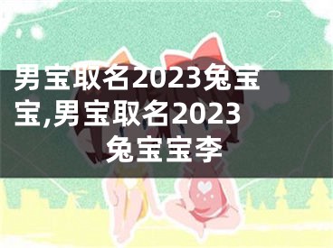 男宝取名2023兔宝宝,男宝取名2023兔宝宝李