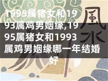 1995属猪女和1993属鸡男姻缘,1995属猪女和1993属鸡男姻缘哪一年结婚好
