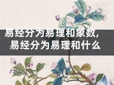 易经分为易理和象数,易经分为易理和什么