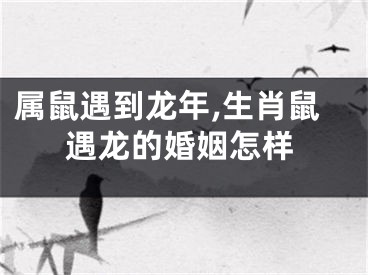 属鼠遇到龙年,生肖鼠遇龙的婚姻怎样