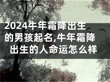2024牛年霜降出生的男孩起名,牛年霜降出生的人命运怎么样