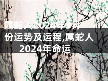 属蛇人2024年3月份运势及运程,属蛇人2024年命运