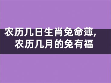 农历几日生肖兔命薄,农历几月的兔有福