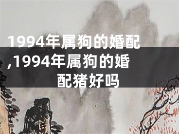 1994年属狗的婚配,1994年属狗的婚配猪好吗