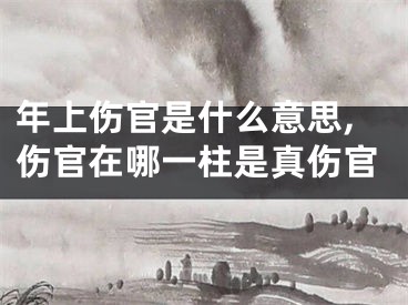 年上伤官是什么意思,伤官在哪一柱是真伤官