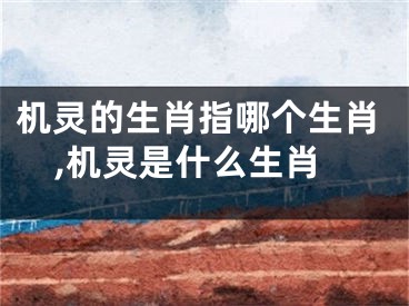 机灵的生肖指哪个生肖,机灵是什么生肖