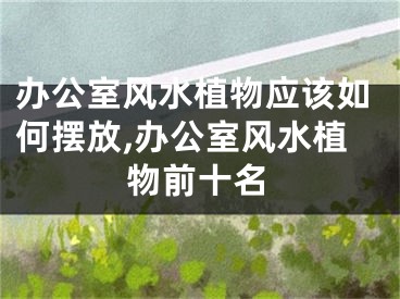 办公室风水植物应该如何摆放,办公室风水植物前十名