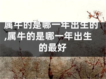 属牛的是哪一年出生的,属牛的是哪一年出生的最好