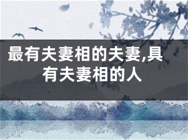 最有夫妻相的夫妻,具有夫妻相的人
