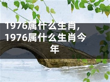1976属什么生肖,1976属什么生肖今年