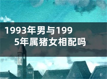 1993年男与1995年属猪女相配吗