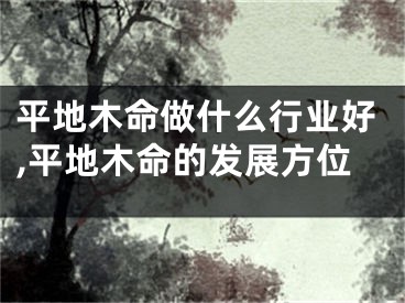 平地木命做什么行业好,平地木命的发展方位