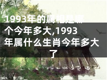 1993年的属相是哪个今年多大,1993年属什么生肖今年多大了