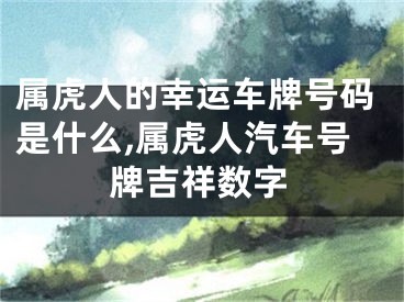 属虎人的幸运车牌号码是什么,属虎人汽车号牌吉祥数字