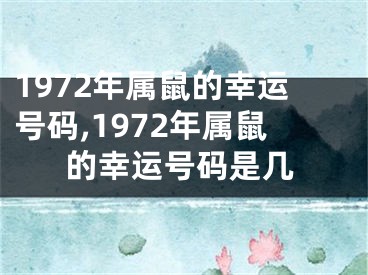 1972年属鼠的幸运号码,1972年属鼠的幸运号码是几
