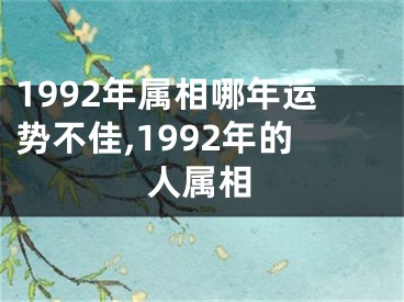 1992年属相哪年运势不佳,1992年的人属相