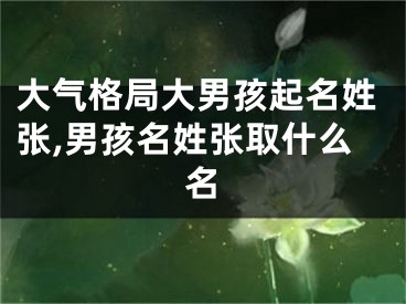 大气格局大男孩起名姓张,男孩名姓张取什么名