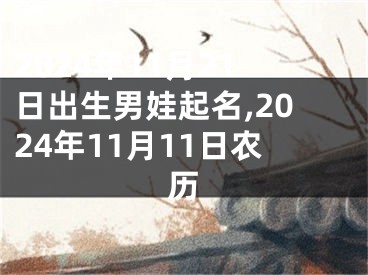 2024年11月21日出生男娃起名,2024年11月11日农历