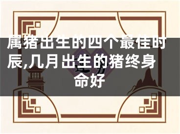 属猪出生的四个最佳时辰,几月出生的猪终身命好