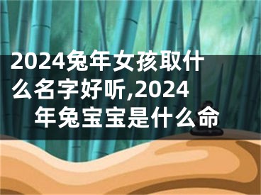 2024兔年女孩取什么名字好听,2024年兔宝宝是什么命