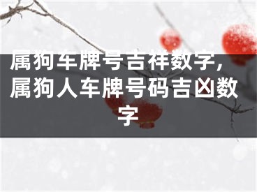 属狗车牌号吉祥数字,属狗人车牌号码吉凶数字