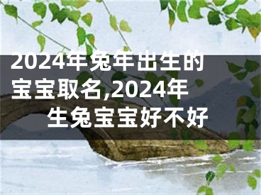 2024年兔年出生的宝宝取名,2024年生兔宝宝好不好