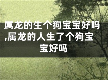 属龙的生个狗宝宝好吗,属龙的人生了个狗宝宝好吗