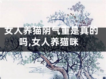 女人养猫阴气重是真的吗,女人养猫咪