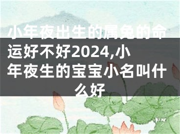 小年夜出生的属兔的命运好不好2024,小年夜生的宝宝小名叫什么好