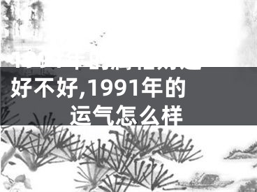 1991年的属相财运好不好,1991年的运气怎么样