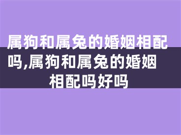 属狗和属兔的婚姻相配吗,属狗和属兔的婚姻相配吗好吗