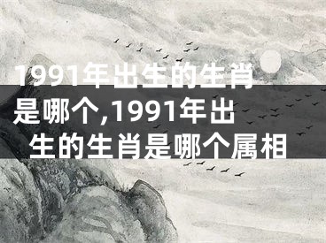 1991年出生的生肖是哪个,1991年出生的生肖是哪个属相