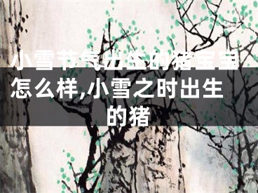 小雪节气出生的猪宝宝怎么样,小雪之时出生的猪